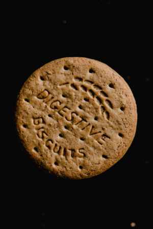 brown round biscuit with black background